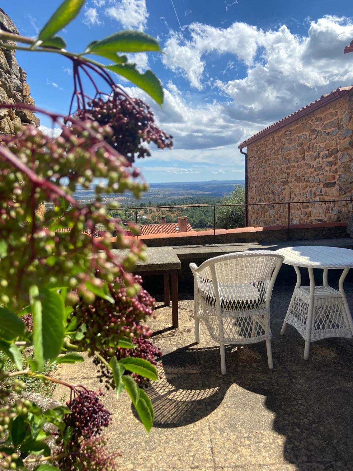 Casa Da Cisterna Pension Figueira de Castelo Rodrigo Buitenkant foto